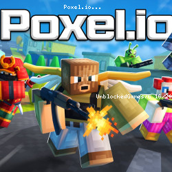 Poxel.io
