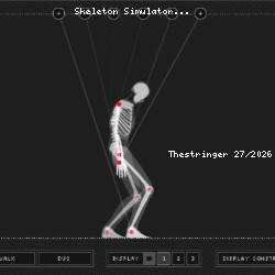 Skeleton Simulator