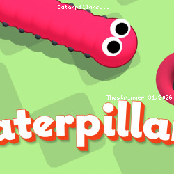 Caterpillars